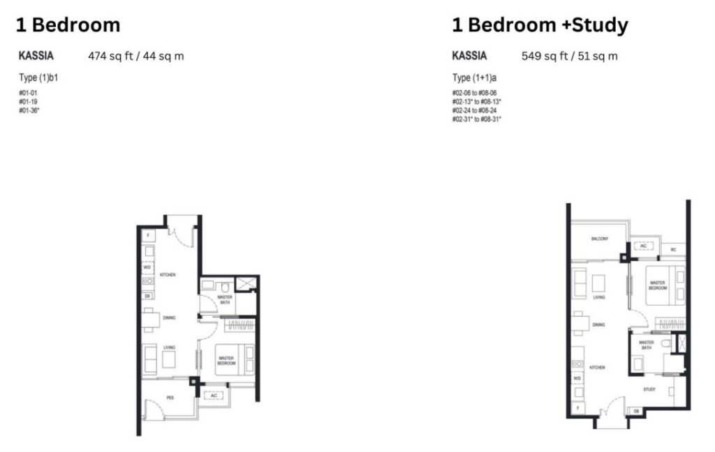 Kassia 1 Bedroom + Study 549 sqf